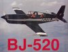 BJ520OPENERWEB.jpg