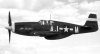 P-51B_356FS_354FG_1944.jpg
